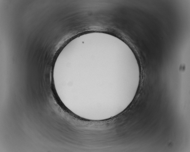 X0000115010011200911231237
