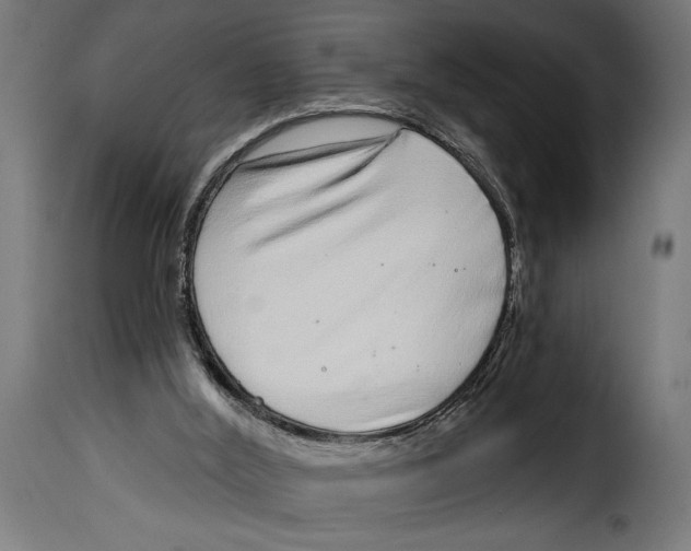 X0000115010012200911231237