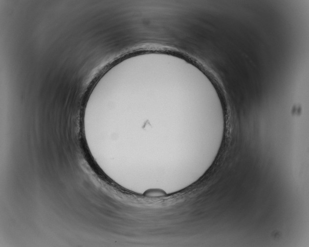 X0000115010015200911231237