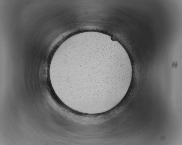 X0000115010016200911231237