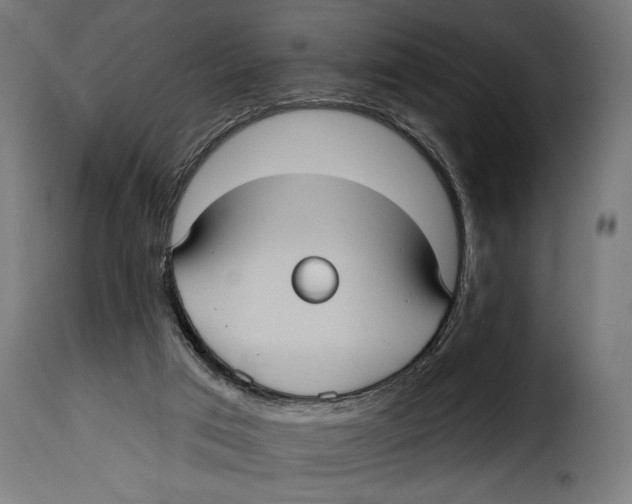 X0000115010017200911231237