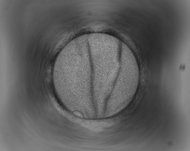 X0000115010018200911231237