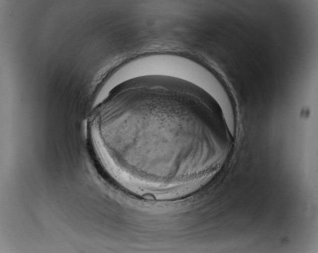 X0000115010019200911231237