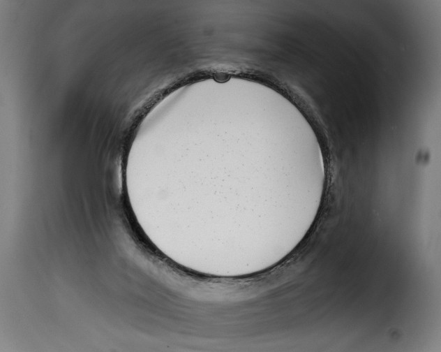 X0000115010020200911231237