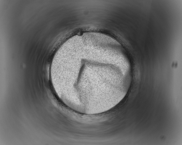 X0000115010022200911231237