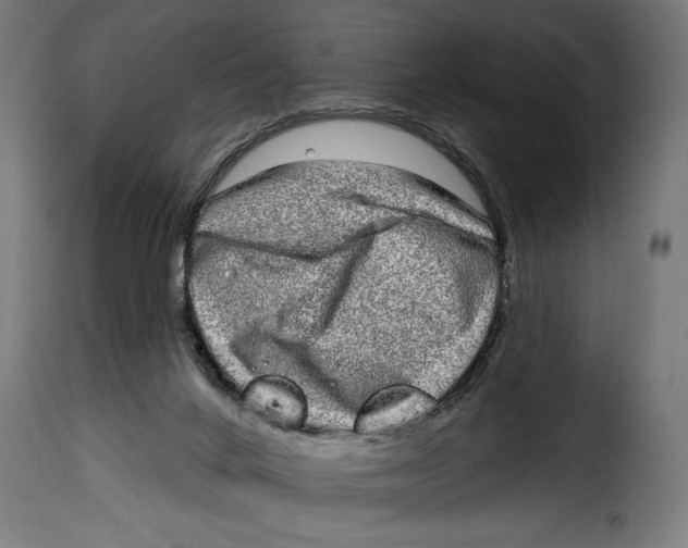 X0000115010024200911231237