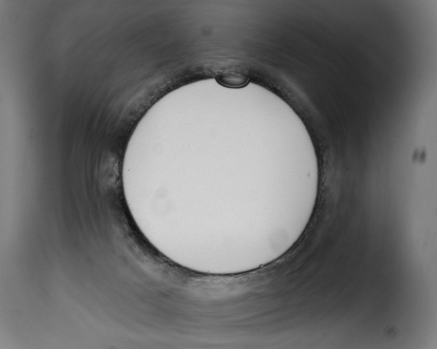 X0000115010025200911231237