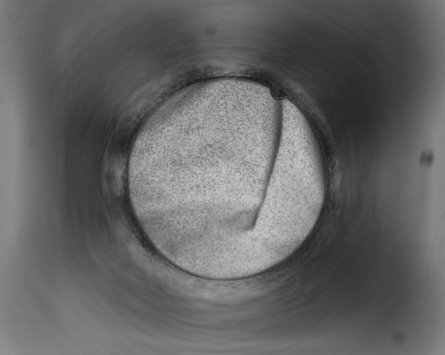 X0000115010026200911231237