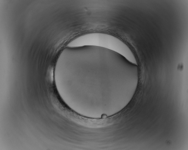X0000115010027200911231237