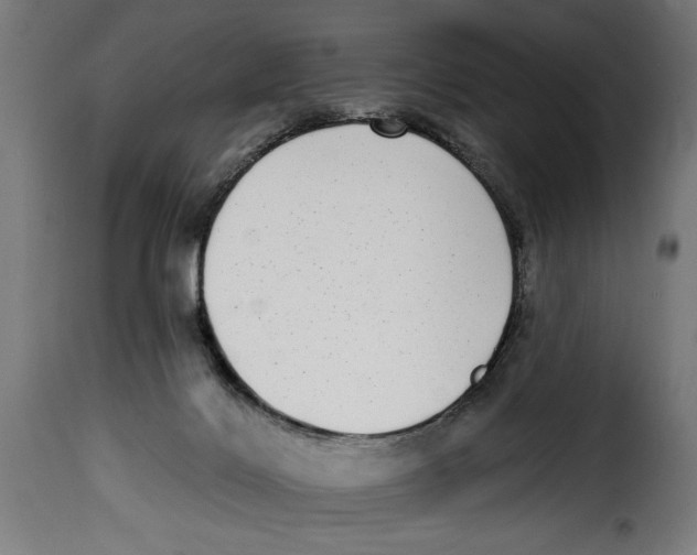 X0000115010028200911231237
