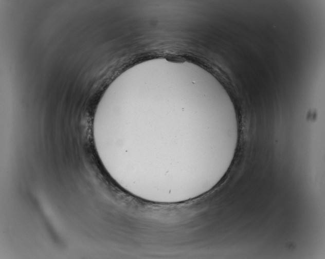 X0000115010029200911231237