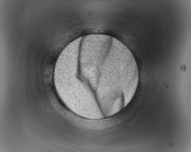 X0000115010030200911231237