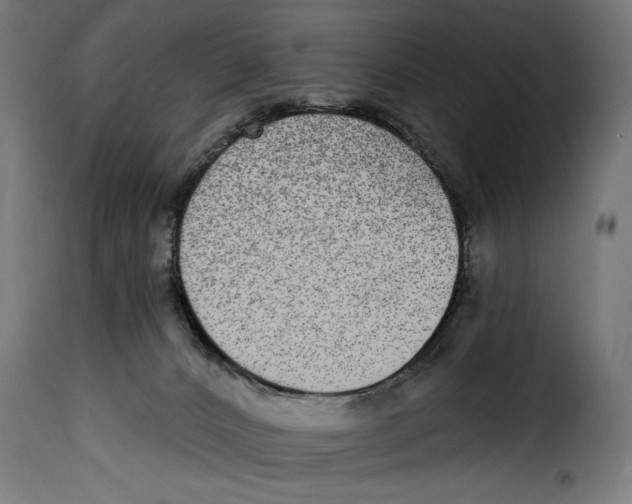 X0000115010032200911231237
