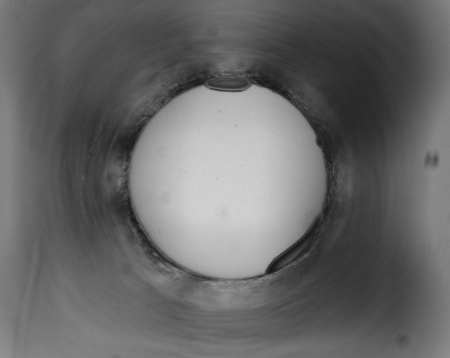 X0000115010033200911231237