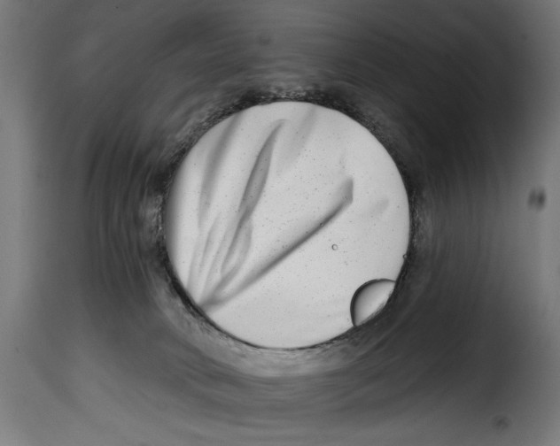 X0000115010034200911231237