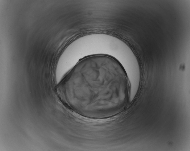 X0000115010035200911231237