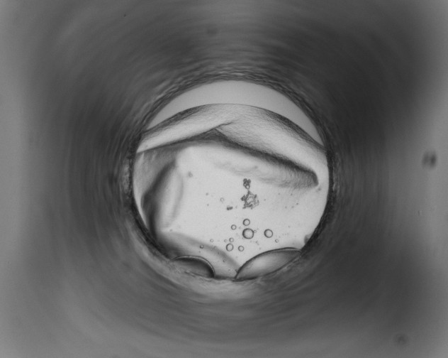 X0000115010036200911231237