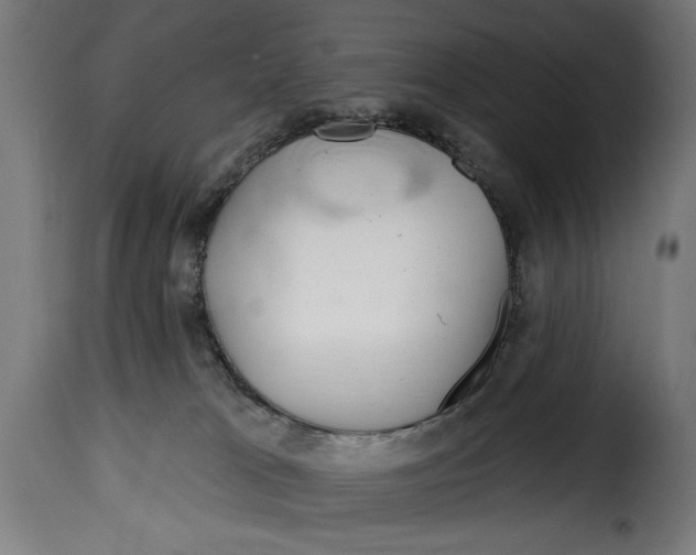 X0000115010037200911231237