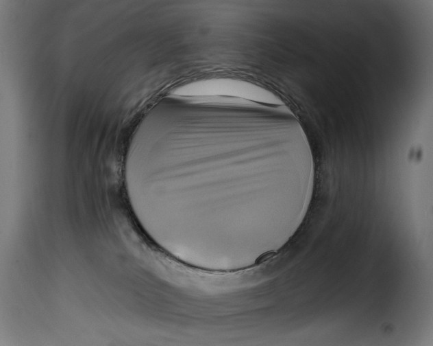 X0000115010039200911231237