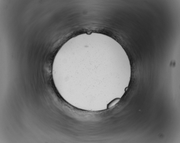 X0000115010040200911231237