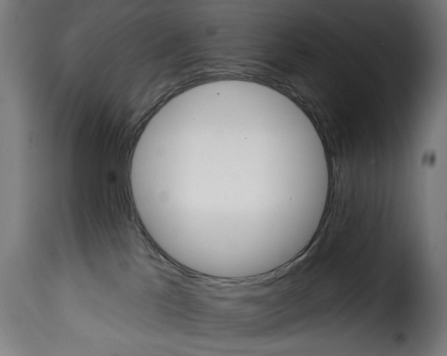 X0000115010041200911231237