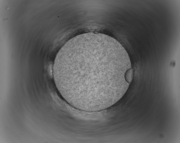 X0000115010042200911231237