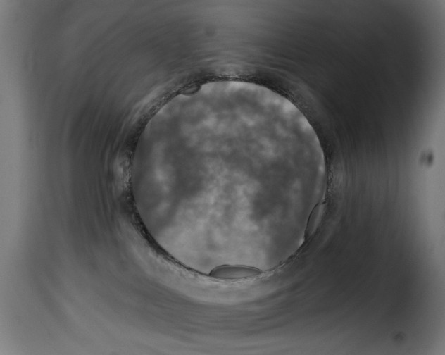 X0000115010043200911231237