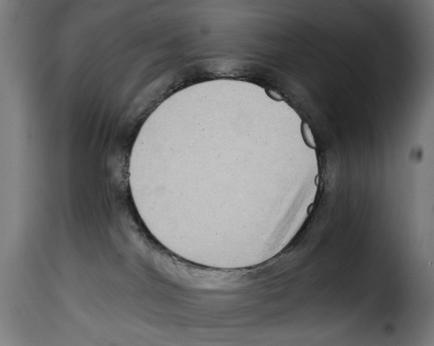 X0000115010044200911231237