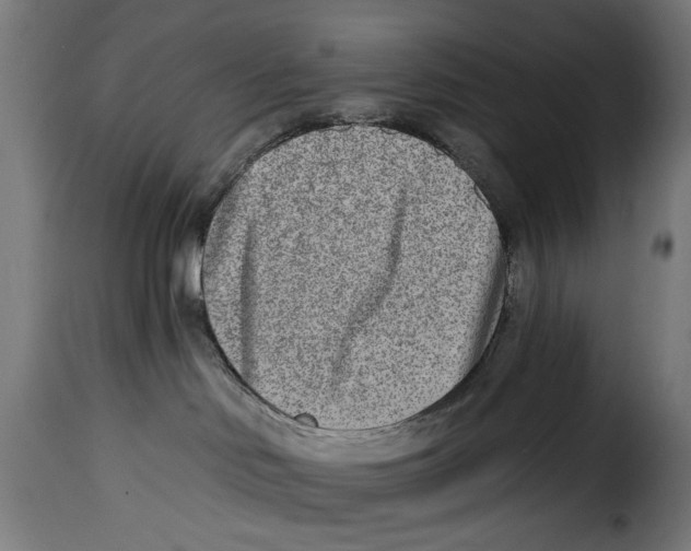 X0000115010046200911231237