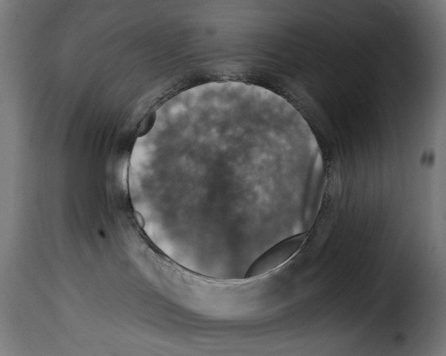 X0000115010047200911231237