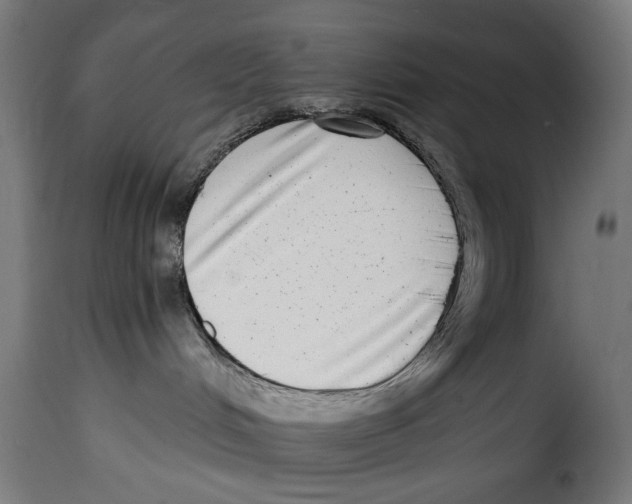 X0000115010048200911231237