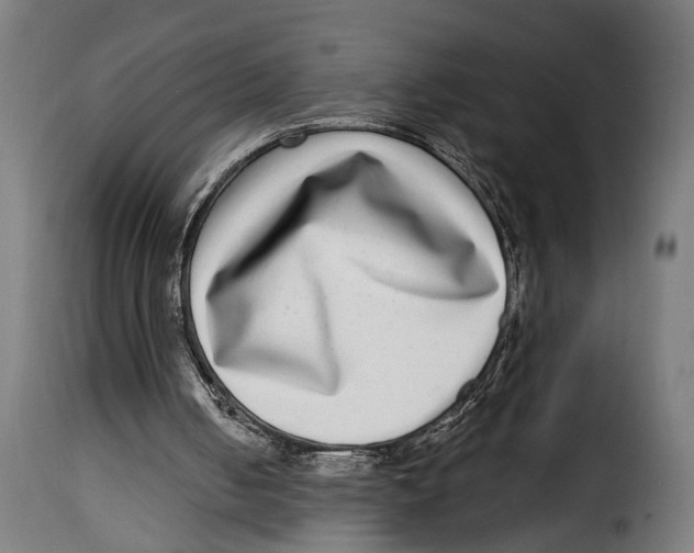 X0000115010050200911231236