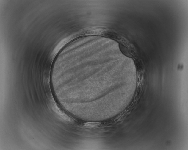 X0000115010051200911231236
