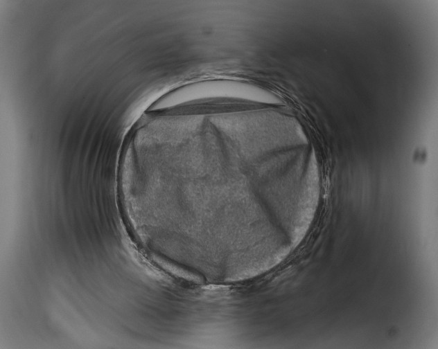X0000115010052200911231236