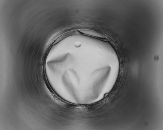 X0000115010053200911231236