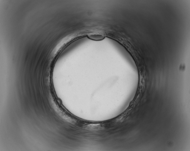X0000115010054200911231236