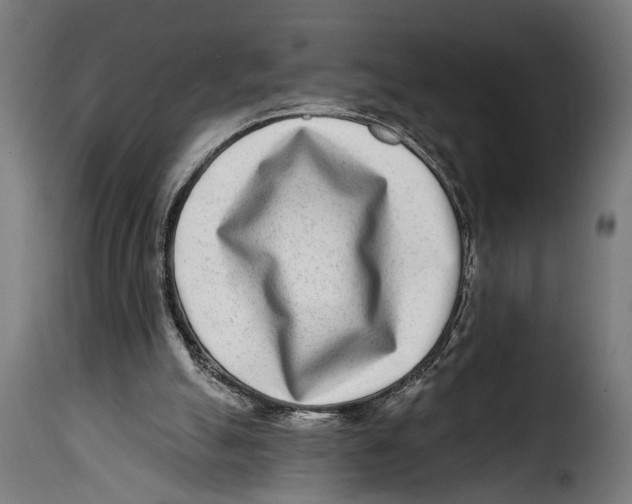 X0000115010055200911231236