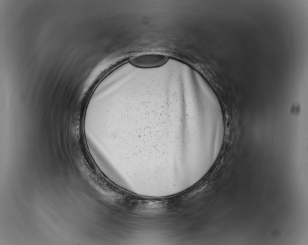 X0000115010056200911231236
