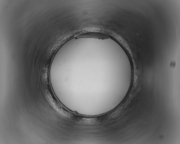 X0000115010057200911231236