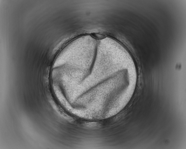 X0000115010058200911231236