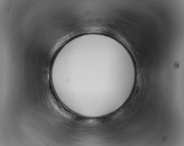 X0000115010059200911231236