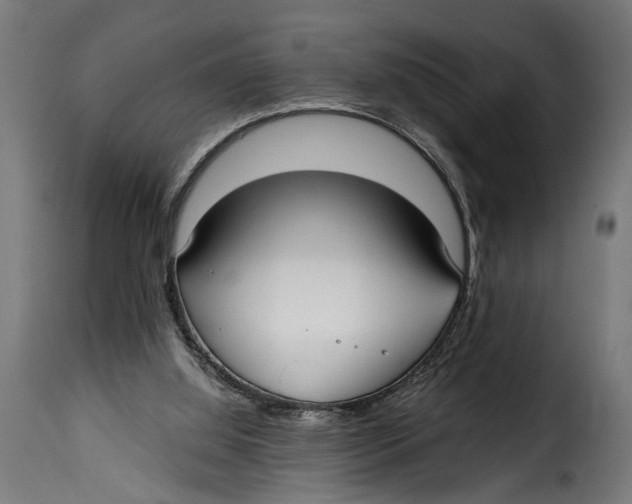 X0000115010060200911231236