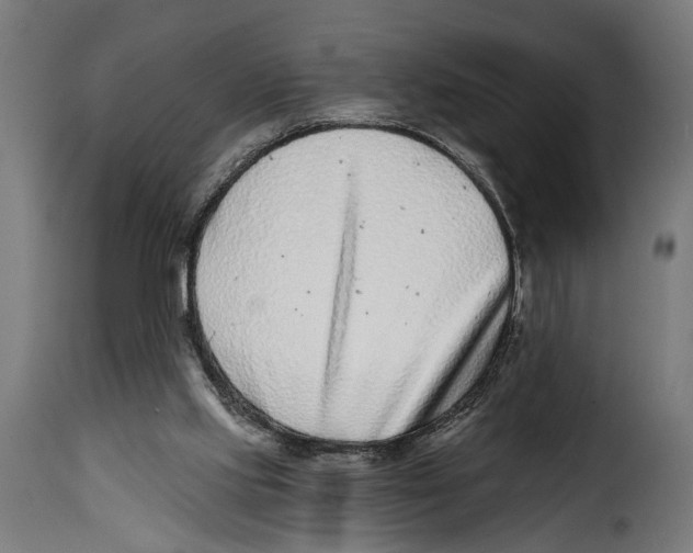 X0000115010061200911231236