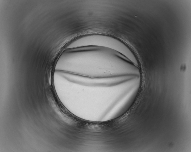 X0000115010062200911231236