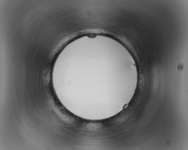 X0000115010063200911231236