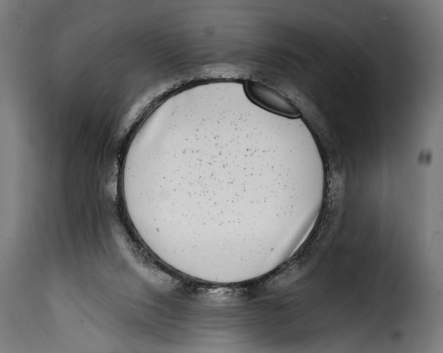 X0000115010064200911231236