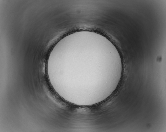 X0000115010067200911231236