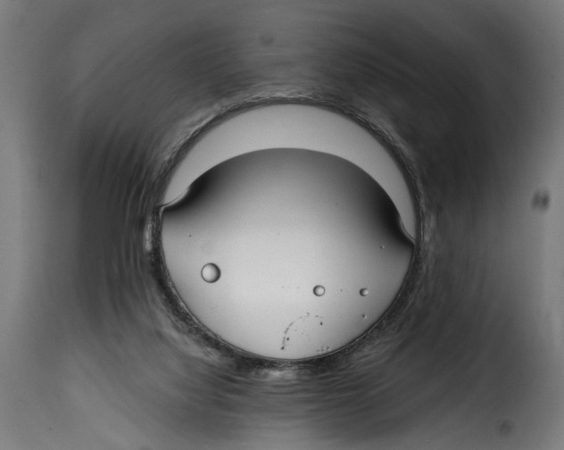 X0000115010068200911231236