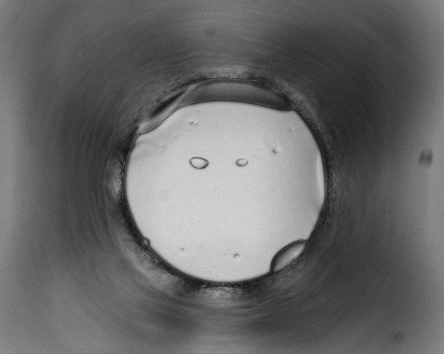 X0000115010069200911231236