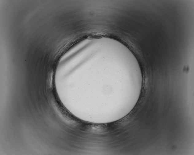 X0000115010070200911231236